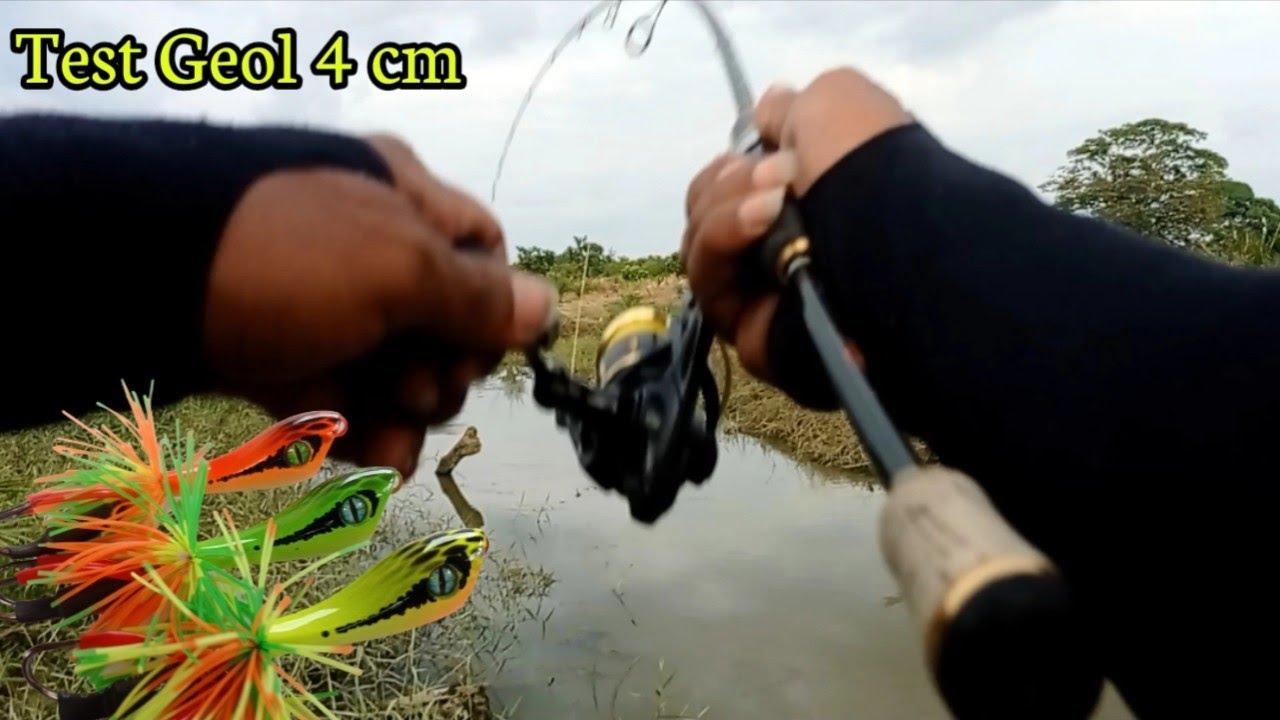 CASTING GABUS PAKAI UMPAN ANDALAN || GEOL 4 CM DI JAMIN STRIKE