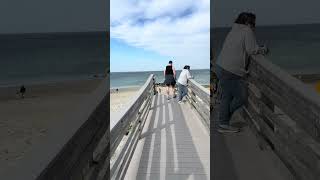 Sandwich Boardwalk (2026)