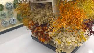 Hobby lobby store Dayton Ohio