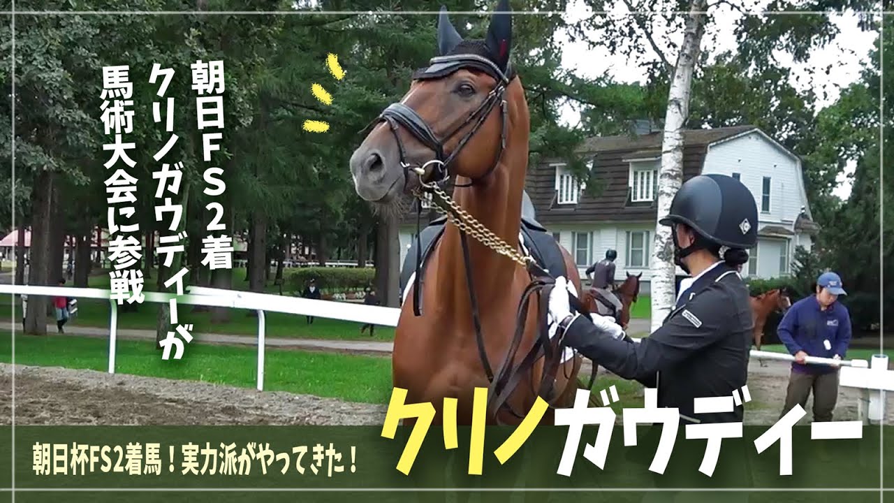 【クリノガウディー】幻のG1馬ガウディーが馬術大会で観客を魅了する！【北海道秋季馬術大会】