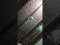 phankha chale to hawa deta hai