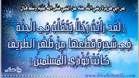 اذكار الصباح كاملة    مشارى العفاسى