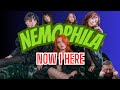 NEMOPHILA | NOW I HERE (LIVE) | FIRST TIME REACTION