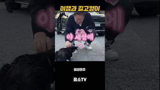 이잼과 길고양이