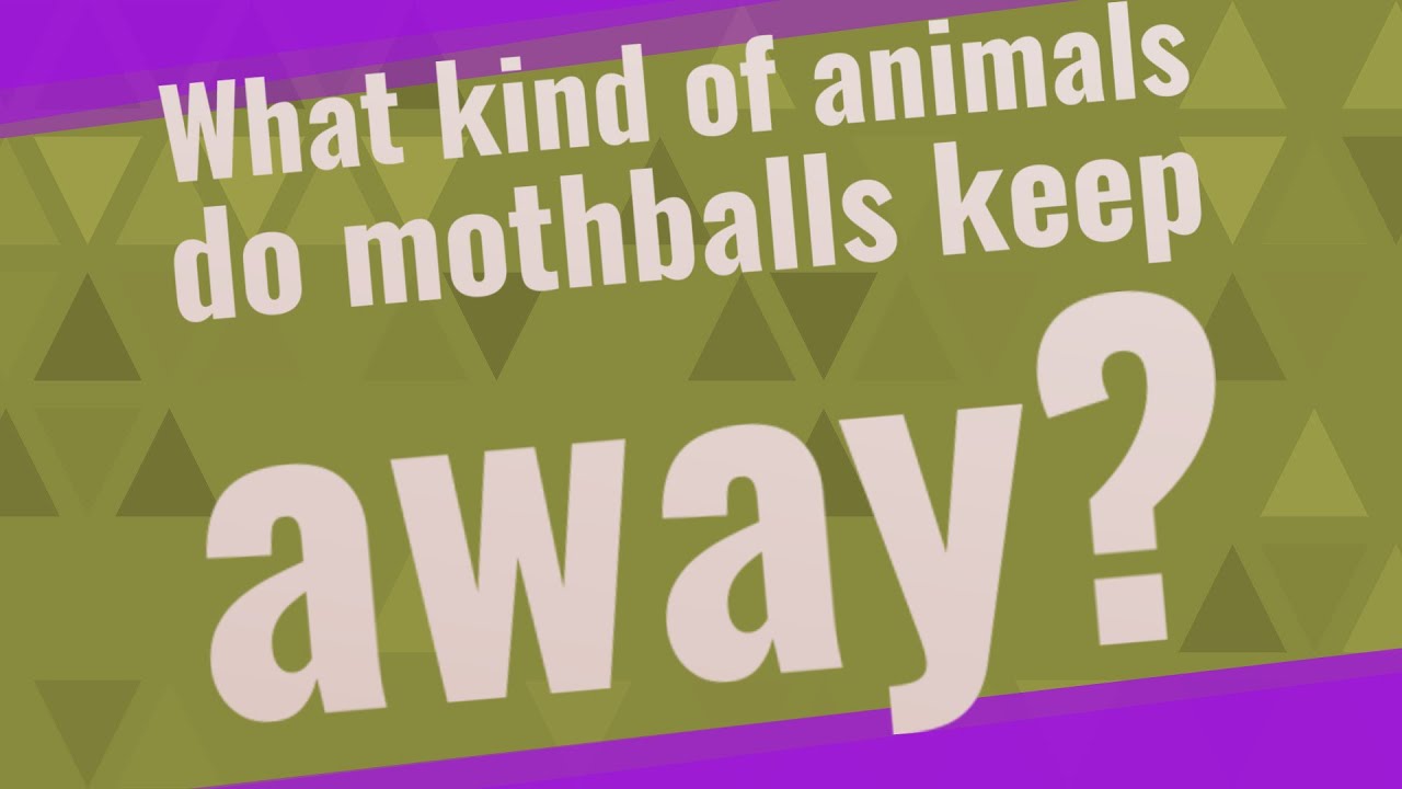 What Kind Of Animals Do Mothballs Keep Away?