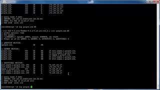 Query DNS Server using DIG