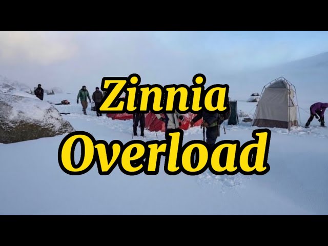 Zinnia - Overload (lyrics) class=