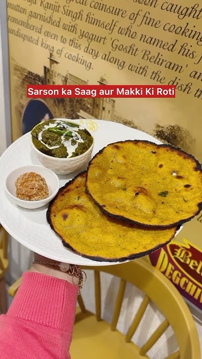 best-north-indian-food-in-south-delhi-youtube