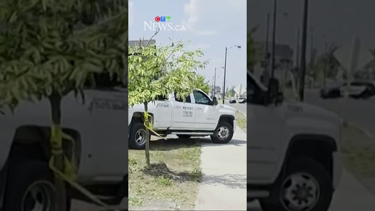 Dump Truck Rams Into Several Vehicles In Ottawa Suburb