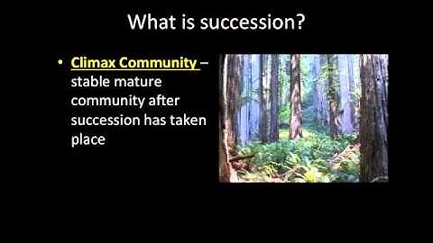 Video Lecture: 2-3 Succession and Biomes