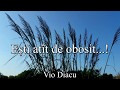 Vio Diacu - Ești atît de obosit, iubite călător (Cu Versuri)