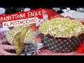 Panettone facile al pistacchio: ricetta ad impasto unico super semplice!