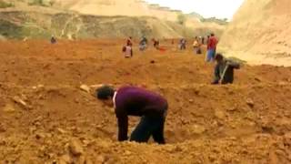 Greening China's Loess Plateau -- by John D Liu