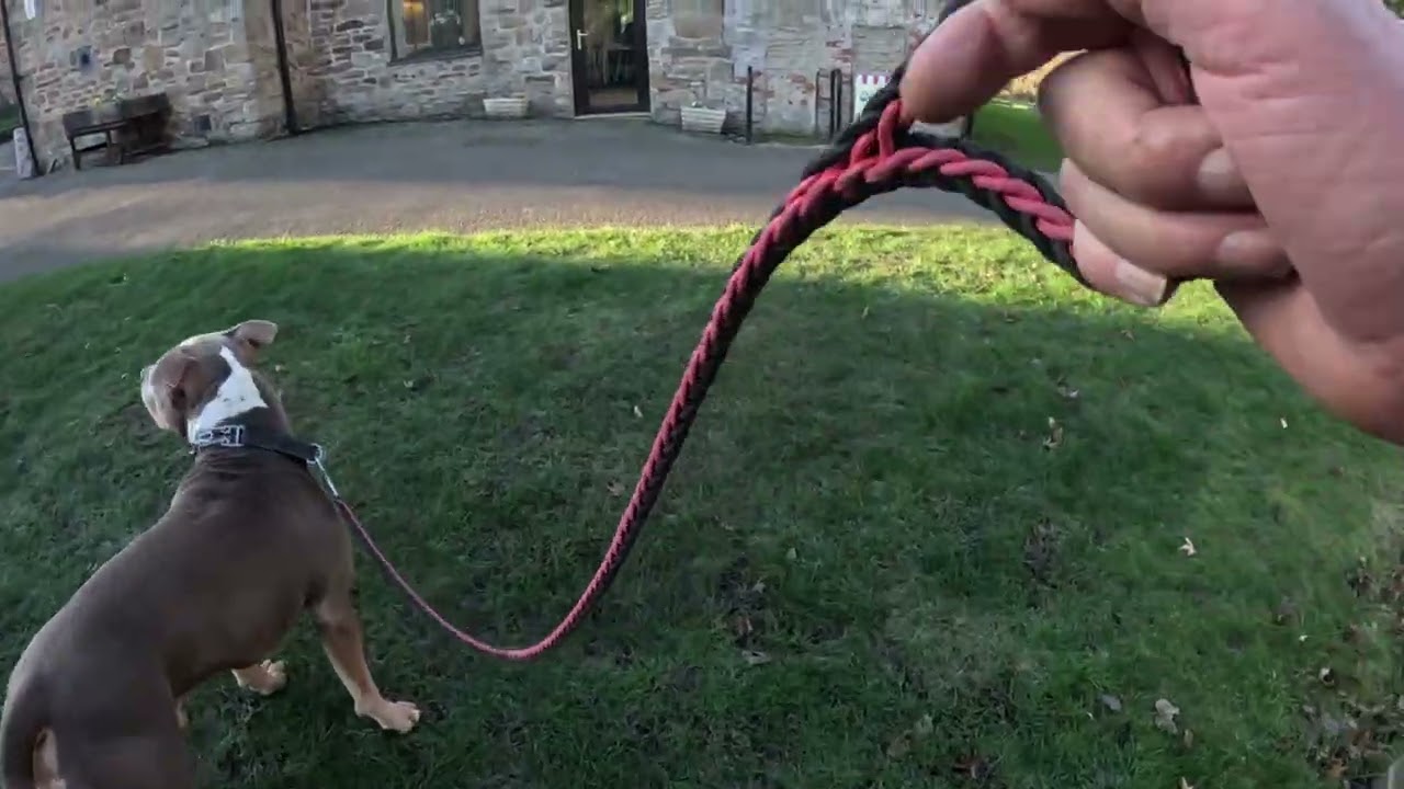 FINCHALE arrival pt 11  02. 01. 2026