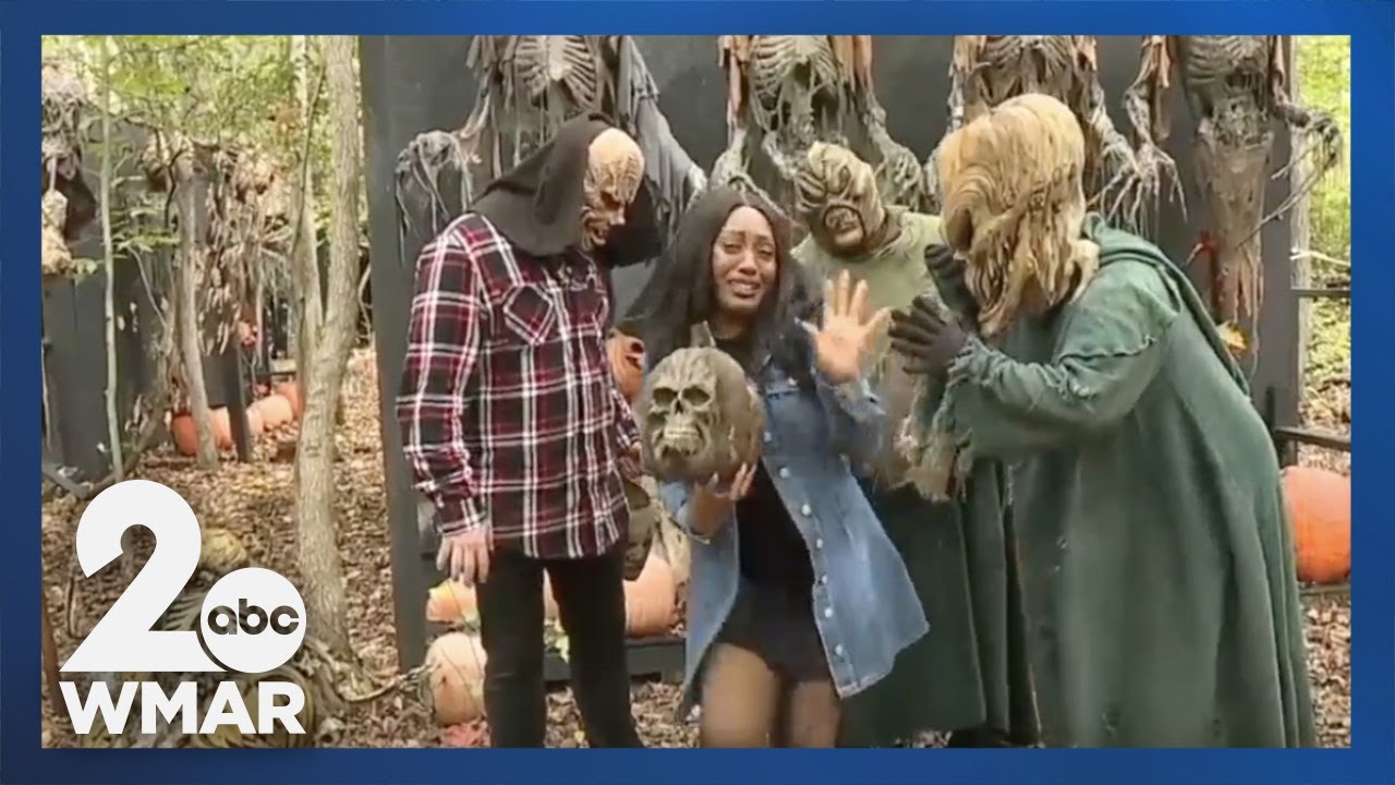 Behind the screams, how Creepy Woods is giving chills for a good cause