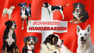 Schweizer Hunderassen