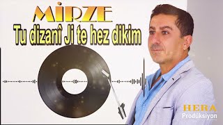 Mirze - tu dizani jı te hez dikim Resimi