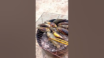 Cá Rô đồng nướng than!