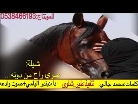 شيلة طرب عمري راح م ـن دونه حصريا HD 2017