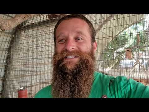 8 באוקטובר 2021