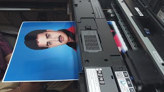 Epson L18050 A3+ Printing