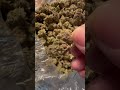 THCA Pounds Market Documentary | Bulk Hemp Supply Chain USA