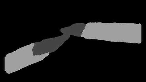 Ex-vivo unseen sequence segmentation # 1 (updated)