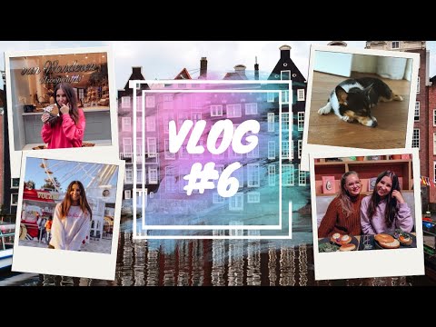 Vlog #6: Dunaj, najboljši vaflji v Amsterdamu, Avocado Show // Barbara Potrc
