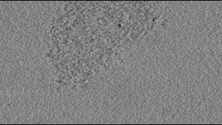 Electron Tomography On Silica Aerogel