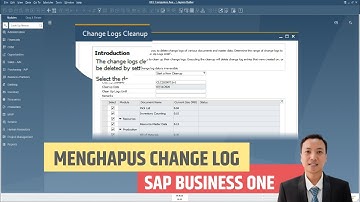 How to delete a Change Log in SAP Business One