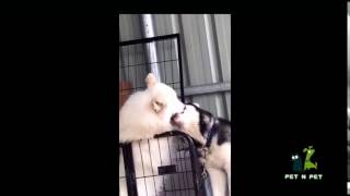 I Love You, Say Were Together Baby, You And Me.