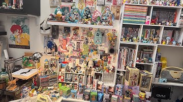Decluttering My Life as a Toy Collector and Navigating Overconsumption