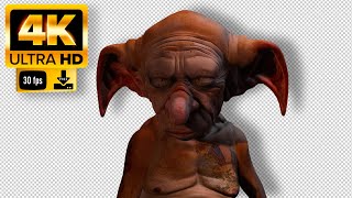 Dobby from Harry Potter | Green Screen  - Footage 4K