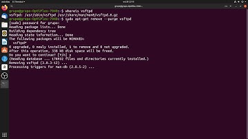 ubuntu 19.04  remove vsftpd server