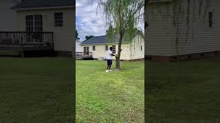 Celebrity Tree’s No Match for D #ThanksandGiving #MakeABunchHappen #paulbunyan #fok Profile