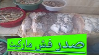 Latest Rates of Fish Prawn & Lobaster Saddar Karachi on 8th Nov 2019