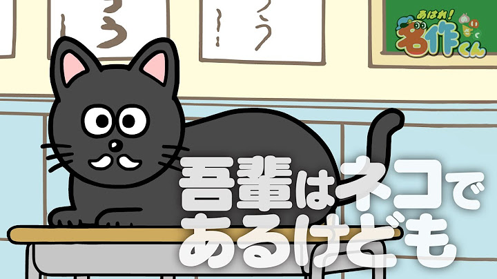あはれ 名作くん 65話 吾輩はネコであるけども 尾崎由香 Youtube