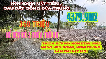 MS1915: Hết đất 1 tỷ 530 triệu, 4379.9m2 vườn dừa view sông Tân Thới đẹp xuất sắc 