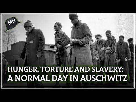 The Life Of The PRISONERS In The CONCENTRATION CAMPS Of Nazi Germany