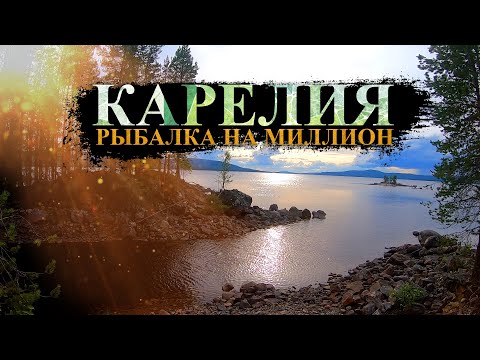 Карелия 2023 || Рыбалка на миллион || Ловим Карельских щук || Высохшее озеро Карелии || Дикий окунь