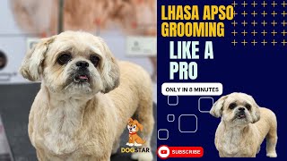 How to Groom Lhasa Apso | Grooming a lhasa apso with detailed explanation of medicated bath