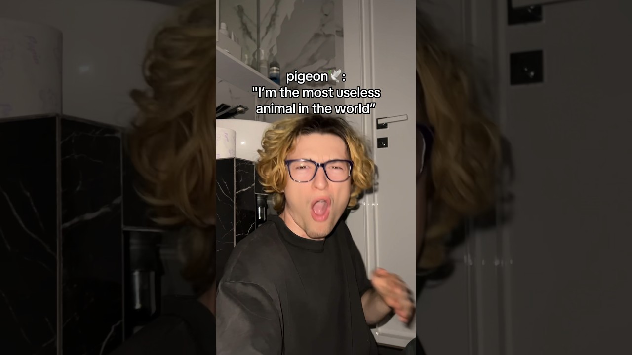 Most Useless Animal🥺🐶