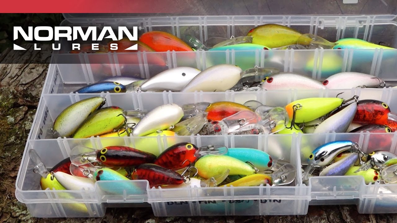 Norman Deep Diving Crankbaits - Tackle Warehouse