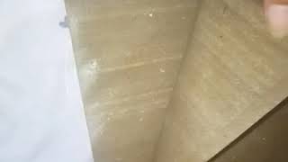 Alfredo Sitanggang Resimi