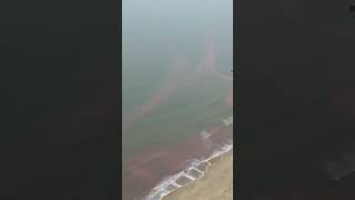 Hiện tượng lạ nước biển xuất hiện vệt đỏ kéo dài hàng km ở Hà Tĩnh