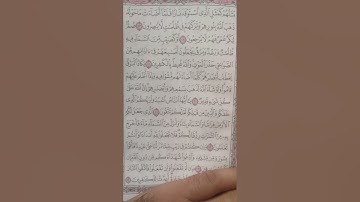 سورة البقرة 24 