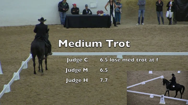 Working Equitation Master level Dressage Phase Ran...