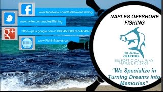 Offshore Fishing Charters - Deep Sea Fishing in Naples Florida