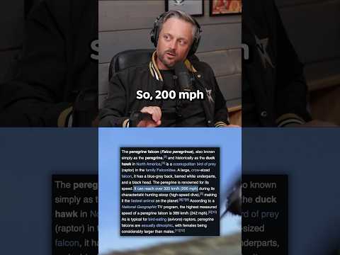 World’s Fastest Animal