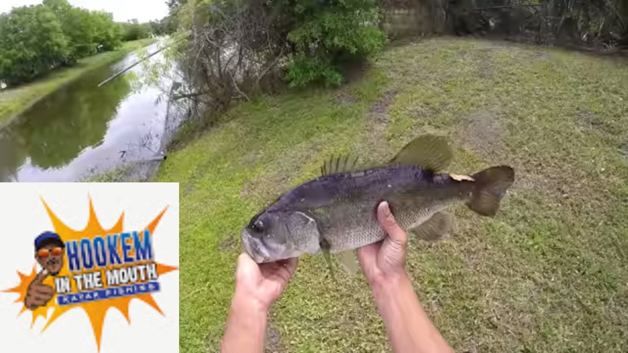 Canal fishing for Big fish, Florida Bass catch em all HOOKEM IN THE